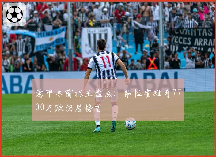 意甲冬窗标王盘点:弗拉霍维奇7700万欧仍居榜首