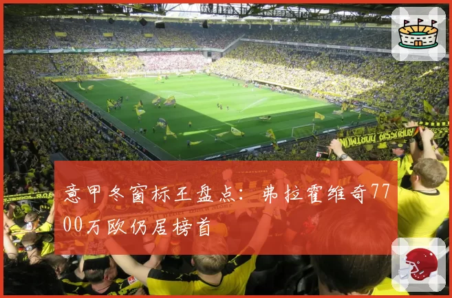 意甲冬窗标王盘点:弗拉霍维奇7700万欧仍居榜首